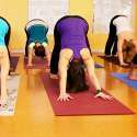Open Yoga Classes Vandalia OH